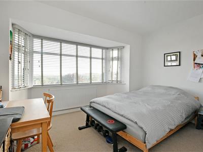Picture 17